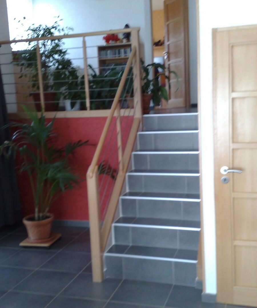 Escalier béton habillé de bois — vue 1